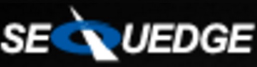 GCC transaction 13393 buyer logo