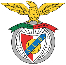 GCC transaction 21219 seller logo